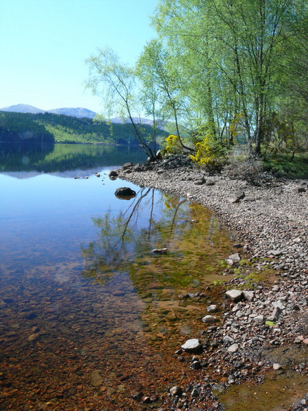 Portrait Loch Shore